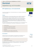 ERP-Digitalisierungs- und Innovationskredit - Programm